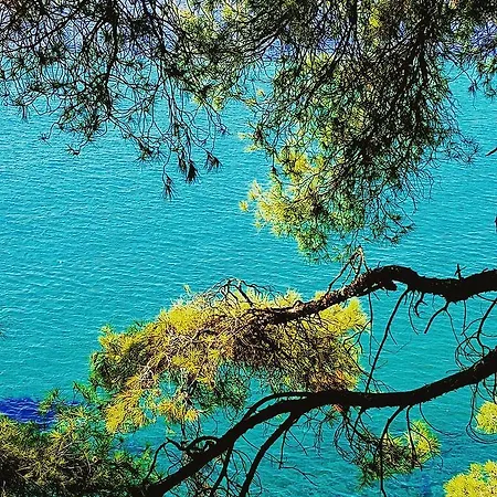 Azapiko Villas Sithonia Halkidiki